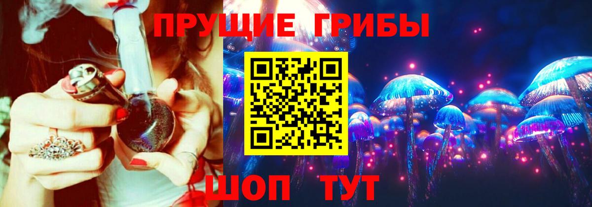 Псилоцибиновые грибы Cubensis  Вход с VPN  Ярославль 
