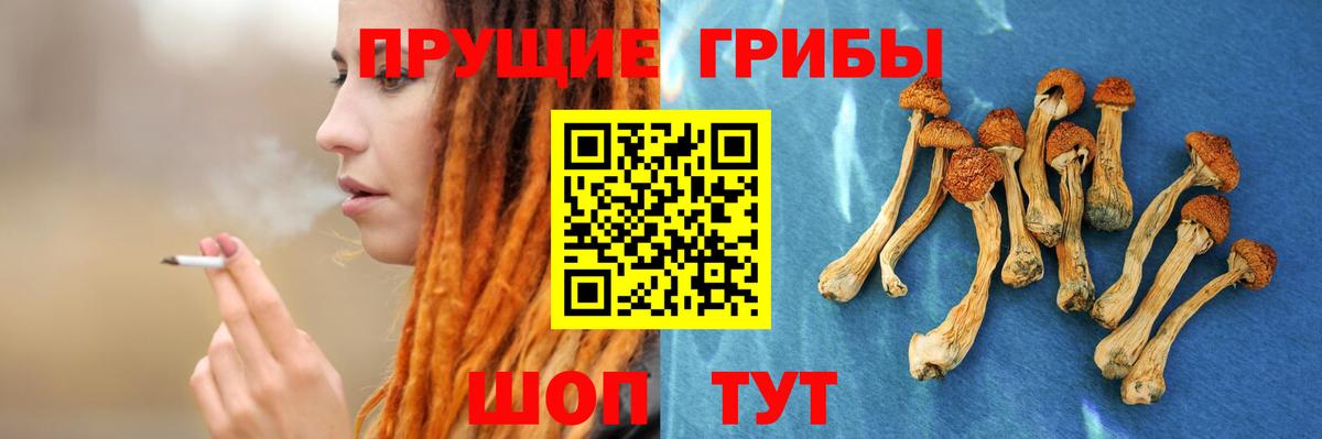 Псилоцибиновые грибы мицелий Ярославль