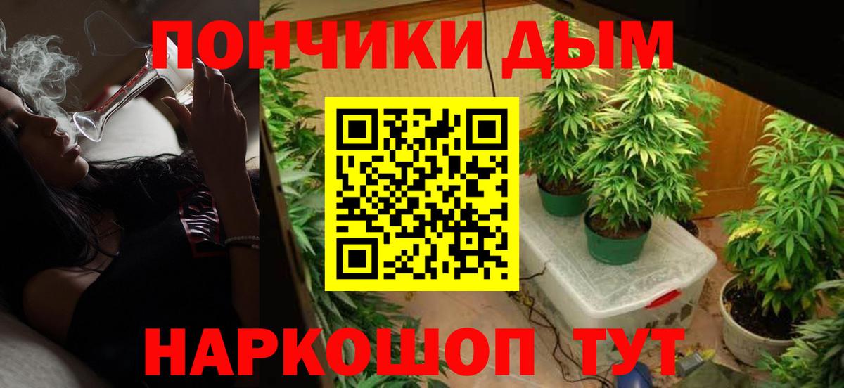 Шишки марихуана марихуана Ярославль